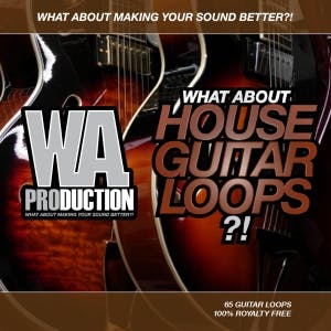 House Guitar Loops
